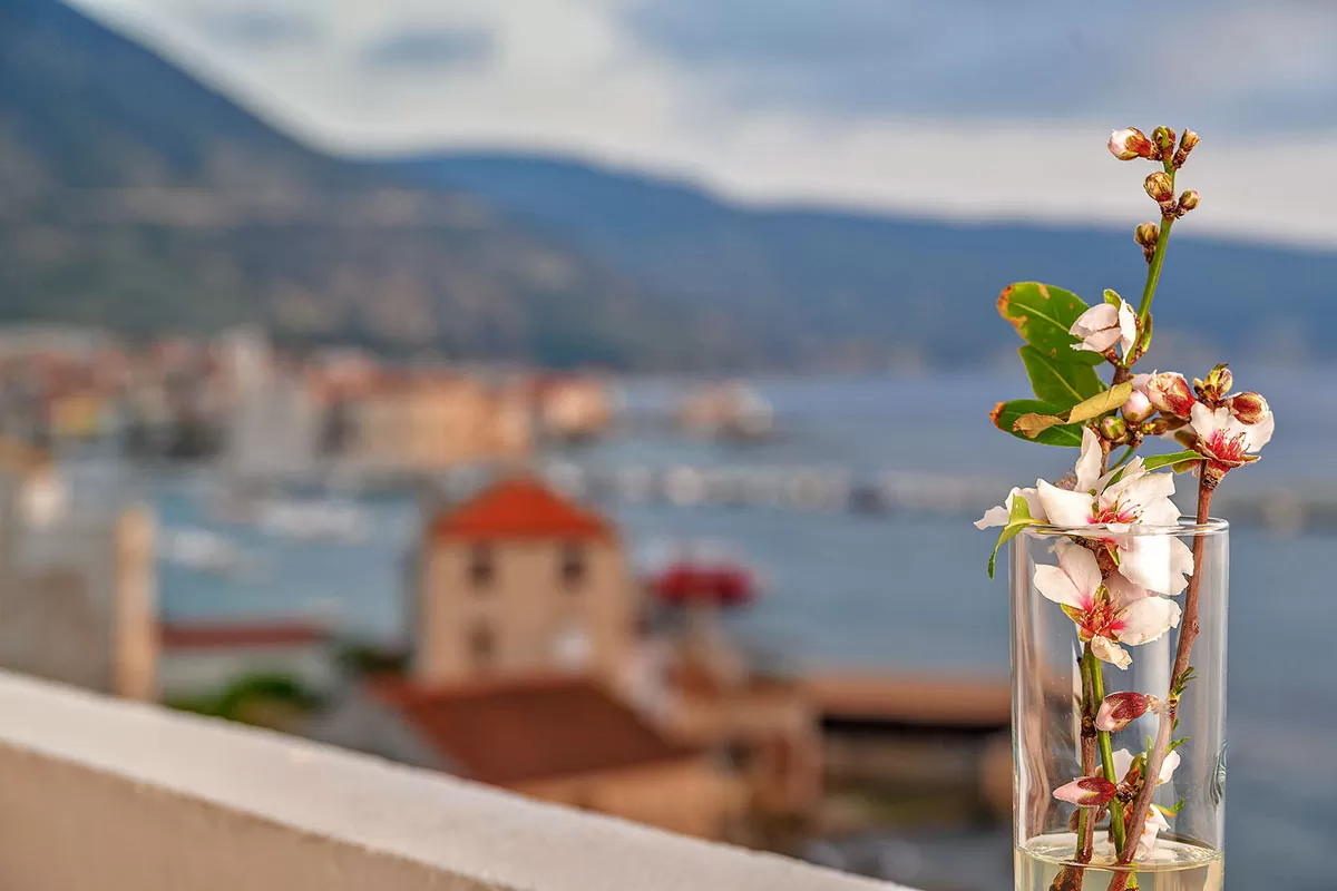 Detail of flowers in a vase and Komiža waterfront in the background