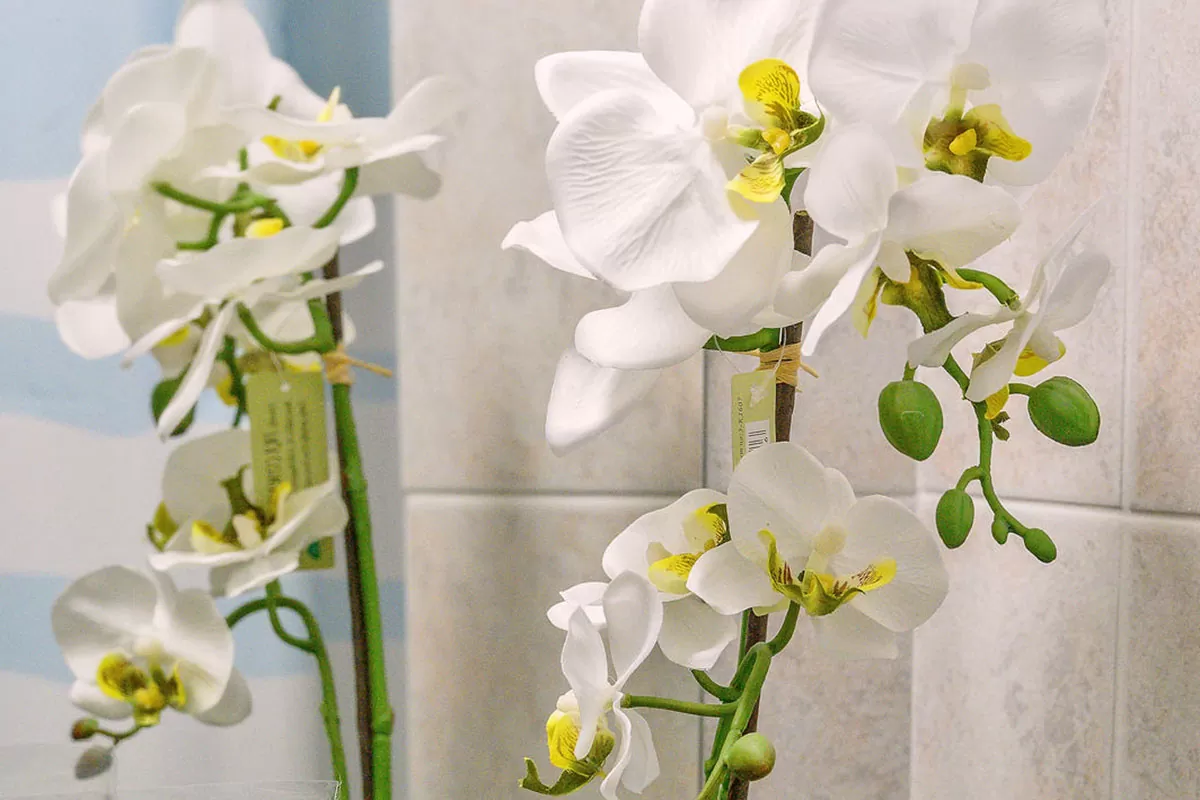 White flower, decorative detail in the bathroom of the room